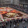 Gần 1 triệu bông thu hải đường đầy màu sắc đã được huy động về quảng trường trung tâm Grand Place ở Brussels, Bỉ để tạo thành tấm thảm hoa khổng lồ.