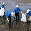 Dọn dẹp rác thải tại bãi biển khu vực bến Do, thành phố Cẩm Phả (Quảng Ninh). (Ảnh minh họa: Nguyễn Hoàng/TTXVN)