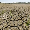 Quang cảnh khô hạn tại miền Nam nước Pháp. (Nguồn: nouvelobs.com)