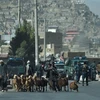 Hiện trường vụ đụng độ giữa lực lượng an ninh Afghanistan và phiến quân tại thủ đô Kabul ngày 21/8. (Ảnh: AFP/TTXVN)