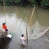 Người dân đổ ra bắt cá tại các cống thoát trên sông Kim Ngưu sau khi mưa lớn khiến các ao hồ trong nội đô bị ngập tràn khiến cá thoát ra. (Ảnh: Danh Lam/TTXVN)