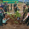 Trồng cây tại cột mốc ngã ba biên giới Việt Nam-Lào-Campuchia. (Ảnh minh họa: Cao Nguyên/TTXVN)