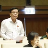 Đại biểu Quốc hội tỉnh Phú Yên Nguyễn Hồng Vân phát biểu ý kiến. (Ảnh: Doãn Tấn/TTXVN)