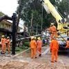 Công nhân điện lực khẩn trươnng khắc phục lưới điện bị hỏng do bão số 9. (Ảnh: Đoàn Mạnh Dương/TTXVN)