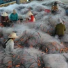 Phụ nữ nông thôn vùng ven biển tỉnh Nghệ An đan lưới phục vụ khai thác biển. (Ảnh: Nguyễn Oanh/TTXVN)