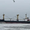 Tàu chở hàng hóa neo tại cảng Mariupol trên biển Azov, phía đông Ukraine ngày 2/12/2018. (Ảnh: AFP/ TTXVN)