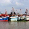 Tàu cá neo đậu tránh trú bão trên sông Cái Bé, xã Bình An, huyện Châu Thành (Kiên Giang). (Ảnh: Lê Huy Hải/TTXVN)