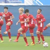 Do sân Al Maktoum được BTC yêu cầu bảo dưỡng, nên trong buổi tập chiều ngày 19/1 đội tuyển Việt Nam không được tập trên sân này mà phải tiếp tục luyện tập ở sân phụ Humaid Al Tayer (Dubai, UAE).