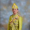 Quốc vương mới của Malaysia Al-Sultan Abdullah Ri'ayatuddin Al-Mustafa Billah Shah Ibni Sultan Haji Ahmad Shah Al Musta'in Billah. (Ảnh: New Straits Times/TTXVN)