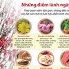 [Infographics] Những điềm lành ngày Tết theo quan niệm dân gian