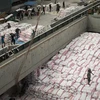 Phân loại gạo tại một nhà máy ở Bangkok, Thái Lan. (Nguồn: AFP/TTXVN)