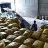 Vận chuyển gạo xuất khẩu tại Doanh nghiệp tư nhân Chế biến nông sản Quang Vũ, xã Phước Lộc, huyện Tuy Phước, tỉnh Bình Định. (Ảnh: Vũ Sinh/TTXVN)