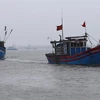 Tàu thuyền của ngư dân thị trấn Thuận An, huyện Phú Vang ra khơi đánh bắt cá. (Ảnh: Hồ Cầu/TTXVN)