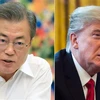 Tổng thống Mỹ Donald Trump (phải) và Tổng thống Hàn Quốc Moon Jae-in trong một cuộc điện đàm. (Ảnh: YONHAP/TTXVN)