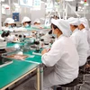 Dây chuyền sản xuất linh kiện điện tử tại Công ty TNHH Synopex Việt Nam (vốn đầu tư của Hàn Quốc), tại Khu công nghiệp Quang Minh (Hà Nội). (Ảnh: Danh Lam/TTXVN)