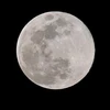 Mặt trăng nhìn từ Los Angeles, Mỹ, ngày 20/3/2019. (Ảnh: AFP/ TTXVN)