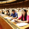 Đoàn Đại biểu Quốc hội tỉnh Vĩnh Phúc dự phiên họp. (Ảnh: Phương Hoa/TTXVN)