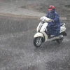 Người dân đi lại dưới mưa lớn trên một con đường ở thành phố Đông Hà, Quảng Trị. (Ảnh: Nguyên Lý/TTXVN)