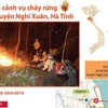 Toàn cảnh vụ cháy rừng tại huyện Nghi Xuân, Hà Tĩnh