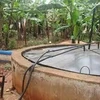 Lào Cai: Hai người tử vong vì ngạt khí từ hầm biogas