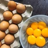 Những cách tái sử dụng khay đựng trứng tiện lợi không ngờ