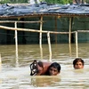 Cảnh ngập lụt tại Bihar, Ấn Độ ngày 17/7/2019. (Ảnh: THX/TTXVN)