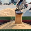 Bốc dỡ đậu tương nhập khẩu tại cảng Nam Thông, tỉnh Giang Tô, Trung Quốc. (Ảnh: AFP/TTXVN)