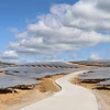 Hệ thống pin năng lượng mặt trời Nhà máy Điện Mặt trời Xuân Thọ 1 và 2. (Ảnh: Phạm Cường/TTXVN)