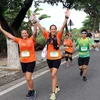 Sáng 11/8/2019, tại Công viên Biển Đông (Đà Nẵng), Cuộc thi Marathon quốc tế Manulife Đà Nẵng 2019 bước vào ngày thi chính thức. (Ảnh: Trần Lê Lâm/TTXVN)