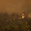 [Video] Cận cảnh Hy Lạp dùng trực thăng ngăn cháy rừng
