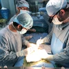 Các bác sỹ Bệnh viện Nhi đồng 2 thực hiện ca phẫu thuật ghép gan cho em bé 16 tháng tuổi. (Ảnh: TTXVN phát)