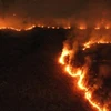 Lửa cháy dữ dội tại rừng Amazon trên địa phận bang Tocantins, Brazil, ngày 17/8/2019. (Ảnh: THX/TTXVN)