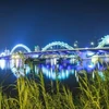 Cầu Rồng, thành phố Đà Nẵng. (Ảnh: Trọng Đạt/TTXVN)