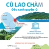 Cù Lao Chàm - Khu dự trữ sinh quyển độc đáo của thế giới