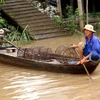 Người dân xã Vĩnh Lộc (An Phú, An Giang) tranh thủ con nước về thả lọp bắt cá. (Ảnh: Công Mạo/TTXVN)