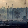 Rừng Amazon bị thiêu trụi tại Altamira, bang Para, Brazil, ngày 27/8/2019. (Ảnh: AFP/ TTXVN)