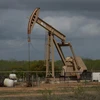 Một cơ sở khai thác dầu tại Cotulla, Texas, Mỹ, ngày 12/3/2019. (Ảnh: AFP/ TTXVN)