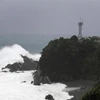 Sóng lớn khi siêu bão Hagibis đổ bộ vào bờ biển Kushimoto, tỉnh Wakayama, Nhật Bản ngày 12/10/2019. (Ảnh: Kyodo/TTXVN)