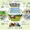 [Infographics] Kinh tế nông thôn liên tục tăng trưởng