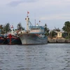 Tàu thuyền đánh bắt thủy sản của ngư dân neo đậu ở cảng để tránh trú. (Ảnh: Nguyễn Dũng/TTXVN)