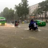 Nhiều tuyến đường thành phố Vinh bị ngập sâu khiến các phương tiện tham gia giao thông gặp nhiều khó khăn trong trận mưa sáng 16/10. (Ảnh: Tá Chuyên/TTXVN)