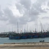 Tàu cá của ngư dân với khoảng 130 thuyền viên vào tránh trú tại âu tàu đảo Trường Sa lớn (ảnh chụp chiều 9/11). (Ảnh: TTXVN phát)