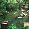 Công viên Ozo Treetop Park - một sản phẩm du lịch mới được đưa vào sử dụng tại Phong Nha-Kẻ Bàng. (Ảnh: Mạnh Thành/TTXVN)