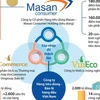 Các thông số của Masan, VinCommerce và VinEco trước khi sáp nhập