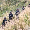 Lực lượng trinh sát Bộ đội Biên phòng Đắk Lắk tuần tra biên giới. (Ảnh: Dương Giang/TTXVN)