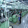 Dây chuyền sản xuất vải dệt kim tại Công ty TNHH Best Pacific Việt Nam. (Ảnh: Danh Lam/TTXVN)