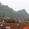 Du khách thăm quan các địa điểm du lịch tại Bình nguyên xanh Khai Trung, xã Khai Trung, huyện Lục Yên. (Ảnh: Tuấn Anh/TTXVN)