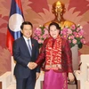 Chủ tịch Quốc hội Nguyễn Thị Kim Ngân tiếp Bộ trưởng Ngoại giao Lào Saleumxay Kommasith. (Ảnh: Trọng Đức/TTXVN)