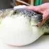Quảng Ngãi: Sáu người bị ngộ độc do ăn thịt cá nóc mú