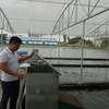 Anh Lê Văn Việt, chủ hợp tác xã sản xuất và thương mại Xuyên Việt (huyện Gia Lộc, Hải Dương) kiểm tra máy cho cá ăn tự động. (Ảnh: Thanh Nga/TTXVN)